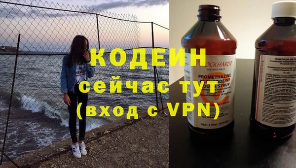молекула духа Сясьстрой