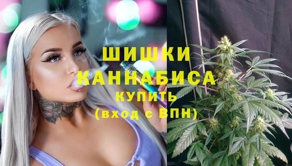 молекула духа Наволоки
