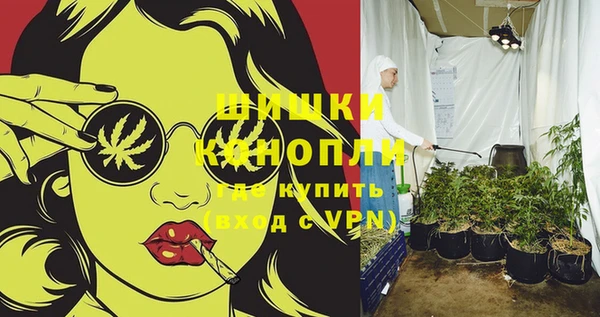 PSILOCYBIN Навашино
