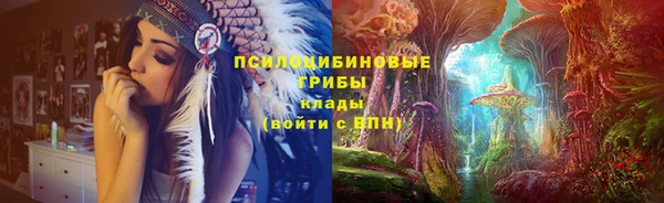 PSILOCYBIN Навашино