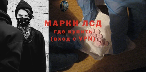 PSILOCYBIN Навашино