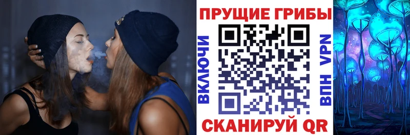 Псилоцибиновые грибы Cubensis  Петров Вал 